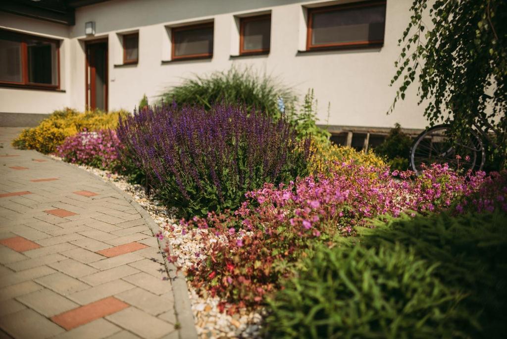 Apartmán U Drába: ubytování na Slovácku v Miloticích u Kyjova Milotice Exterior foto